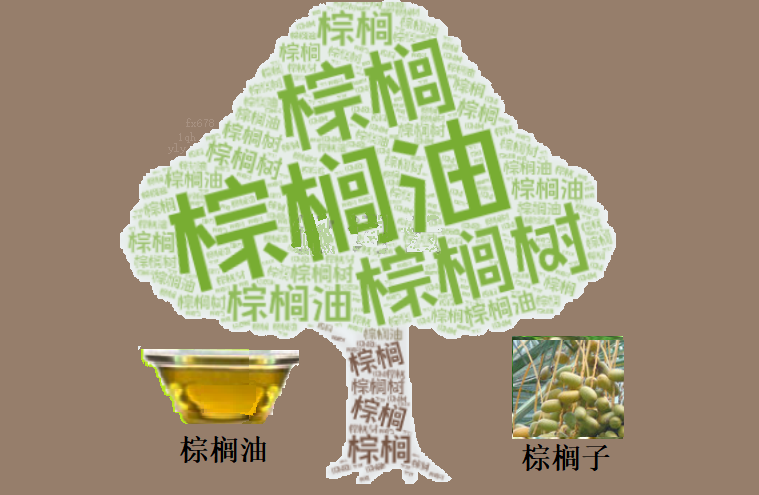 美国生柴新政与产量缺口，棕榈油市场走势分析(图1)
